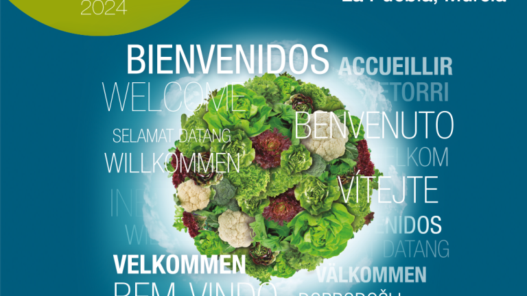 Demo Days Salads 2024