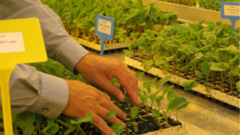 Resistance Breeding Thumbnail
