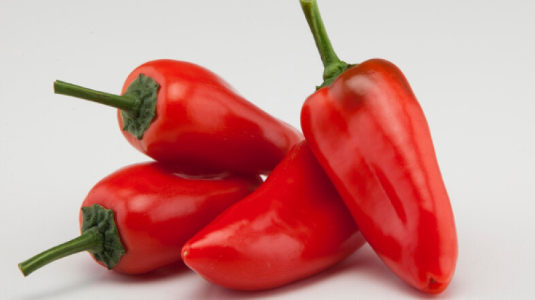 Angelito - Red Angello Seedlesss Sweet Pepper