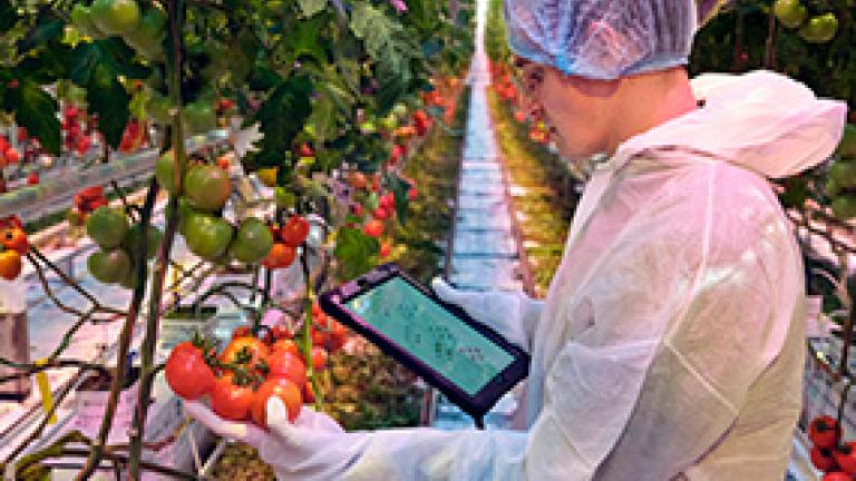 syngenta-source