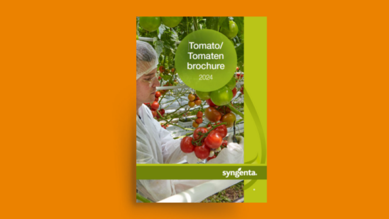 tomato brochure