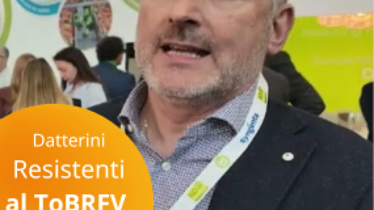 Bruno Busin at Fruit Logistica