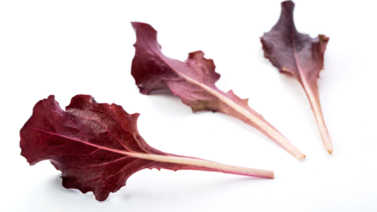 babyleaf_570x320.png