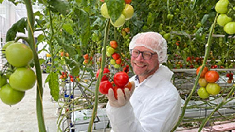 285x214_tomaten_blog