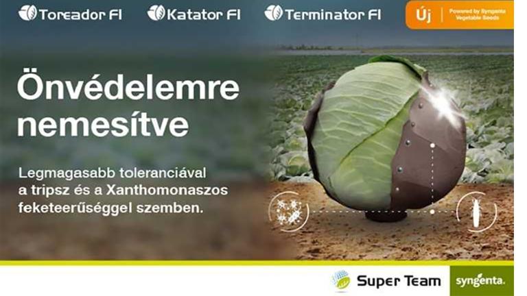 Önvédelemre nemesített fejes káposzta fajták