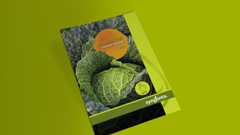 brassiche_depliant_2024