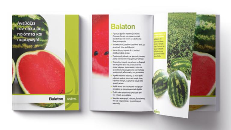 baloton brochure preview