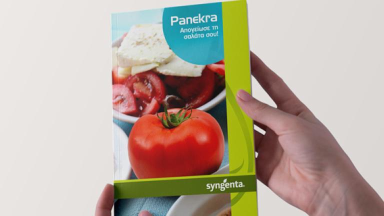 PANEKRA brochure preview