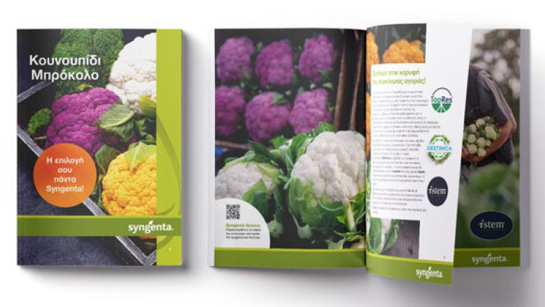 Brassicas brochure preview