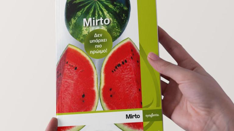 MIRTO brochure preview