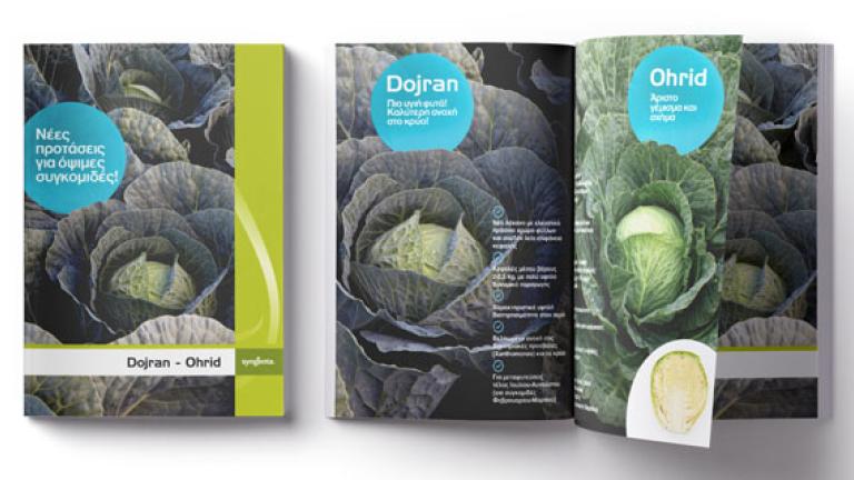 dojran-ohrid brocure preview