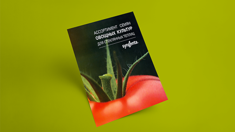 Catalogo Belarus 1