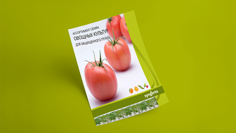Catalogo Belarus 2
