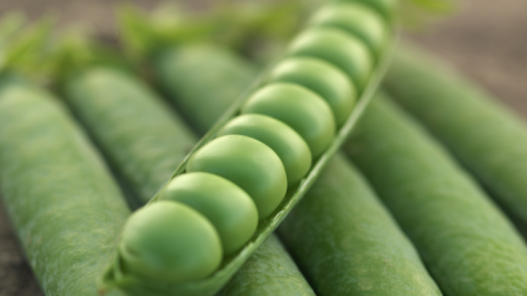 Pea