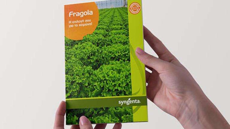 Fragola brochure preview