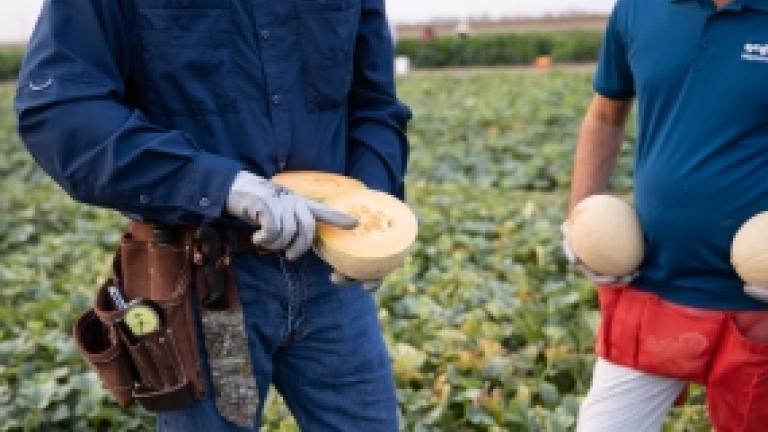 article_cantaloupe_guide_thumbnail_image