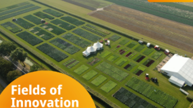 Fields of Innovation Syngenta Vegetable Seeds