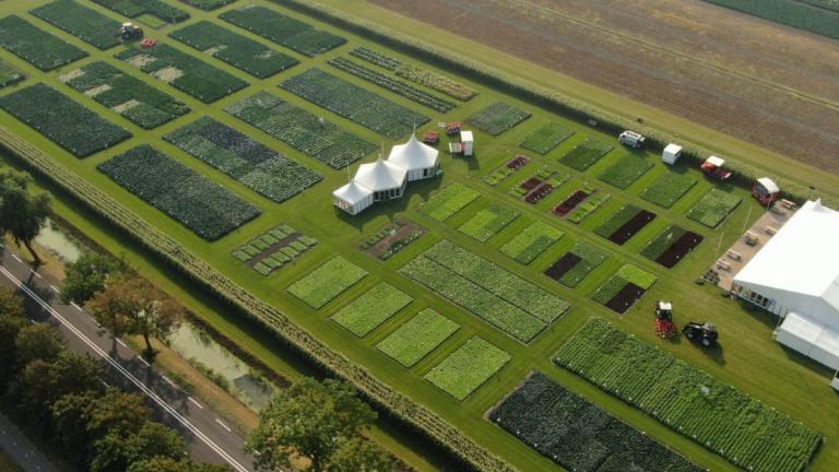 Fields of Innovation 2024