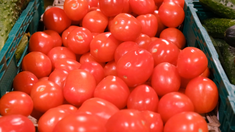 Saaho tomatoes