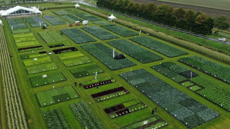 Fedezd fel a fenntartható zöldségtermesztés jövőjét a Syngenta Fields of Innovation 2024 rendezvényén!