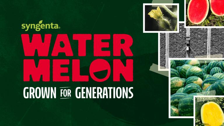 Syngenta Watermelon Grown for Generations Logo, Whole and Sliced Watermelon, and a Field of Watermelon with Tractor