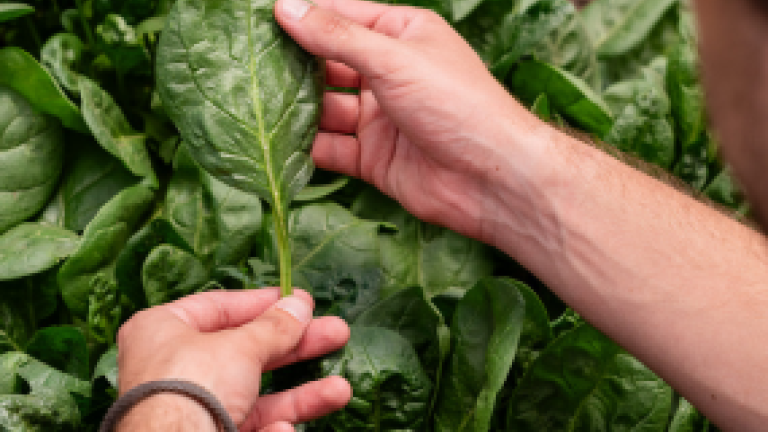 spinach thumbnail