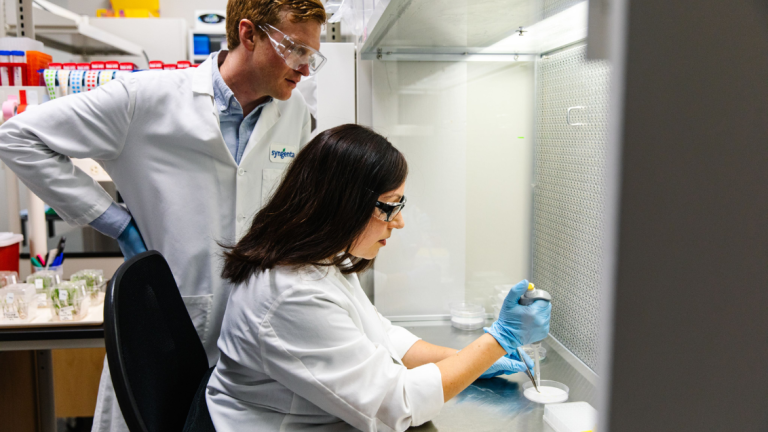 Genome editing A promising path toward more sustainable agriculture
