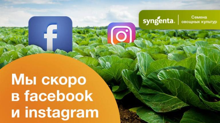 inst_news_1024h650_2020_ida_1