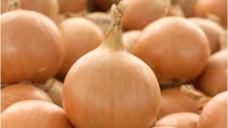PROMOTION ONION NETHERLANDS