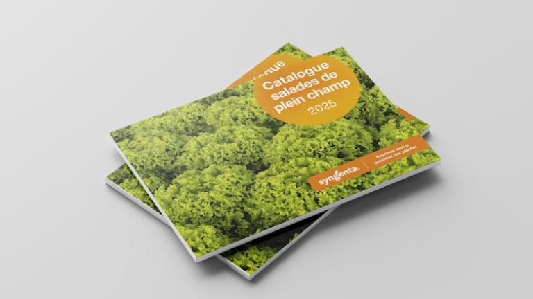 mockup catalogue salade plein champ 2025