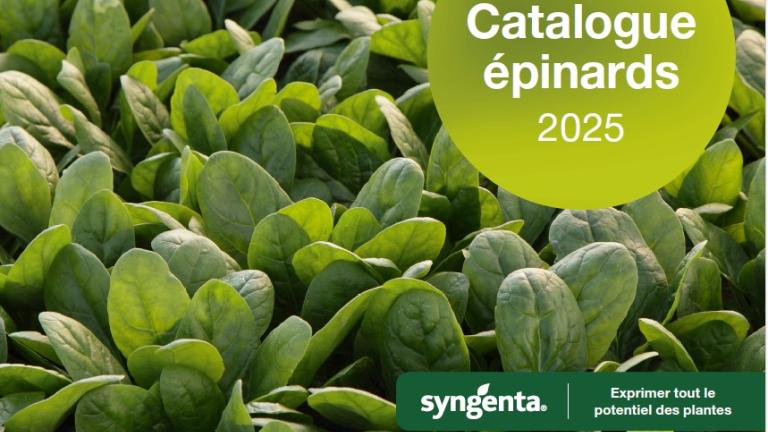 catalogue épinards