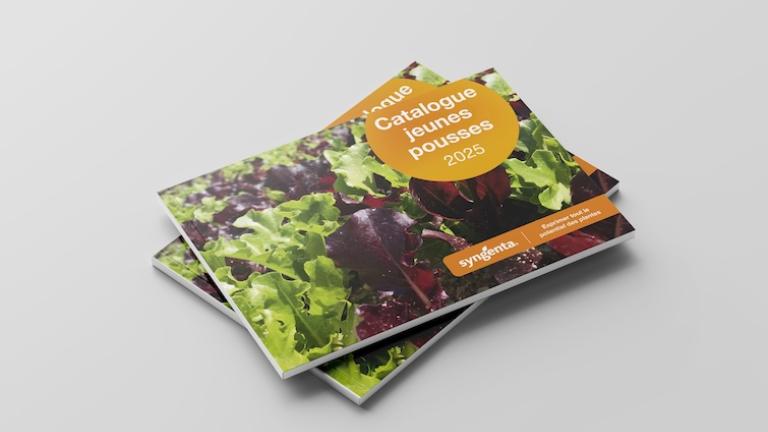 mockup catalogue jeunes pousses