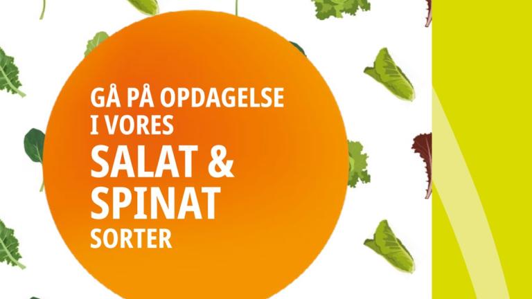 Danish Spinach and Leafy Brochure