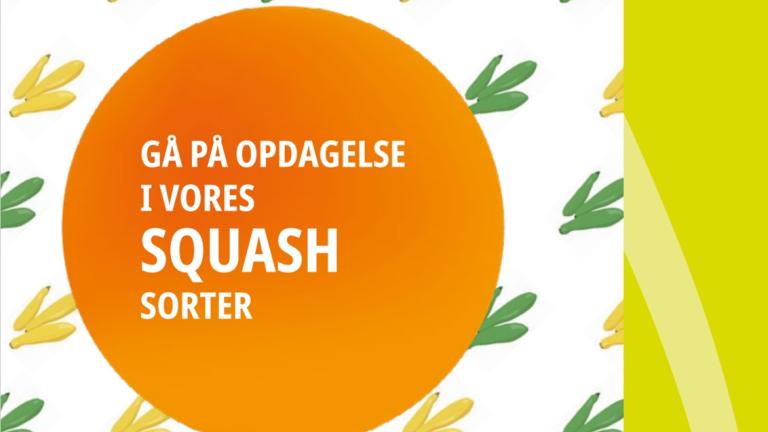Danish Squash Brochure