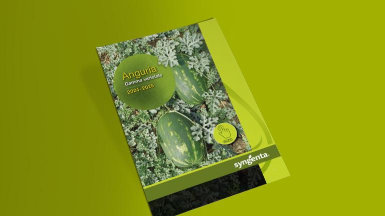 brochure linea anguria anteprima