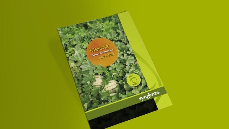 Brochure Linea Melone anteprima