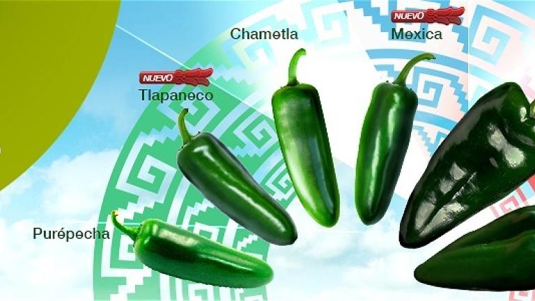 BannerChilesPicosos01