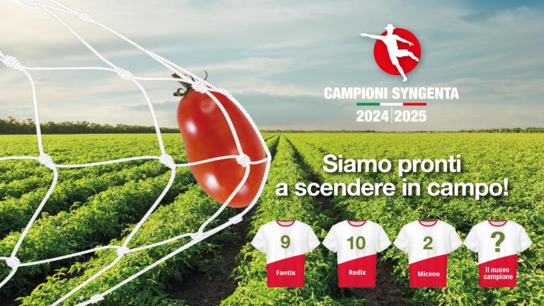 I campioni syngenta pomodoro da industria
