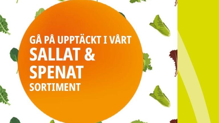 Swedish Leafy Brochure