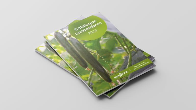 Mockup catalogue concombres