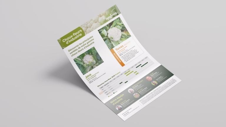 webmastering_site_drupal_syngenta_24t3564_essentiel_choux_industrie_a4_755_566.jpg