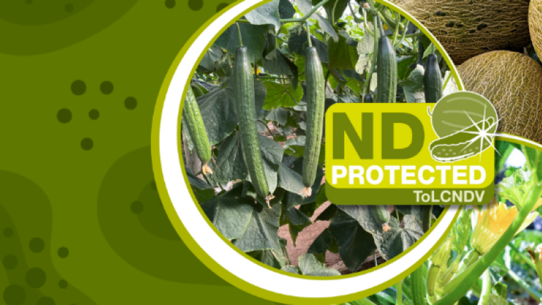 ND protected
