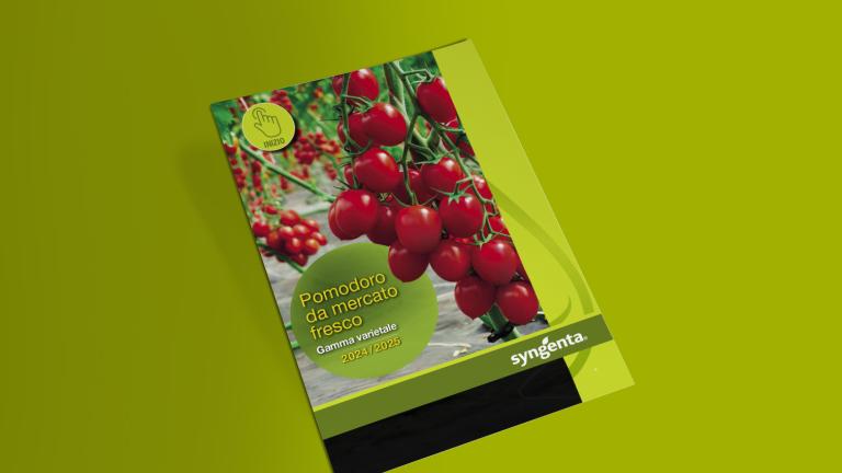 Catalogo pomodoro da mercato fresco