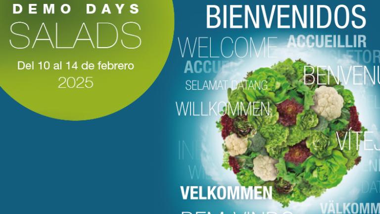 Demo Days Salads 2025