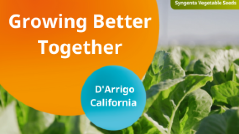 thumbnail image - darrigo california