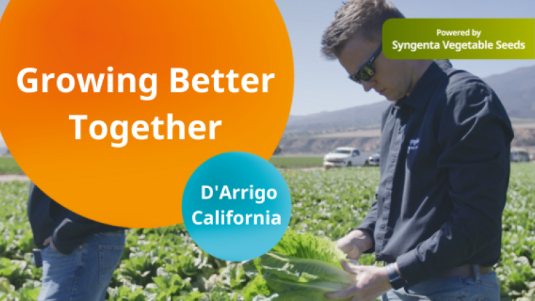 darrigo_california_-_video_thumbnail