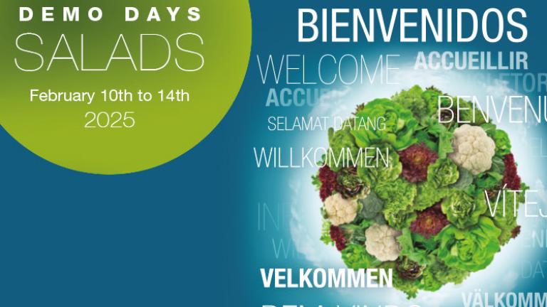 Demo Days Salads 2025