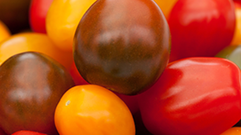 alle_kleuren_snoeptomaten_285x214