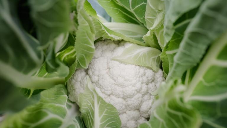 cauliflowers