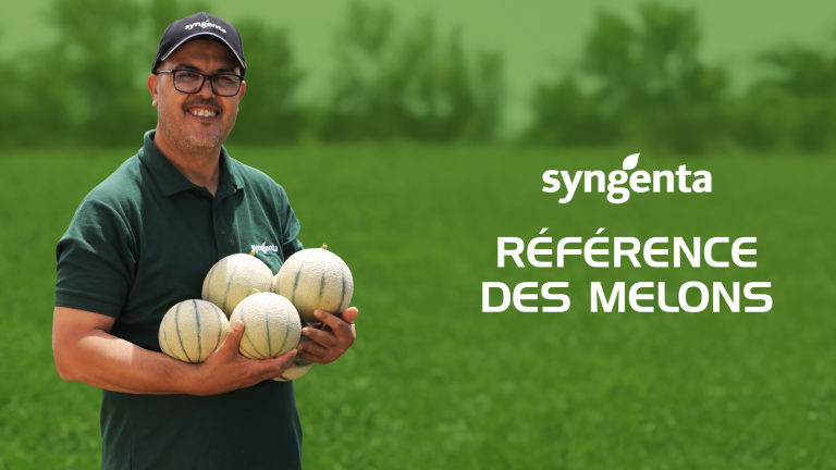Melon